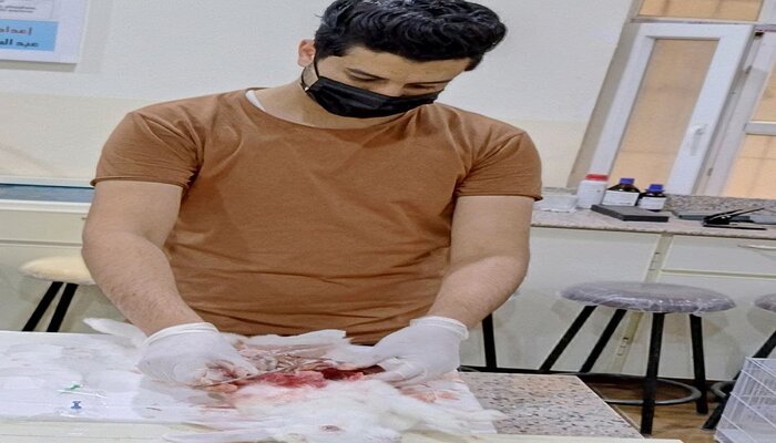  إكمال الجزء العملي لبعض مشاريع بحوث التخرج